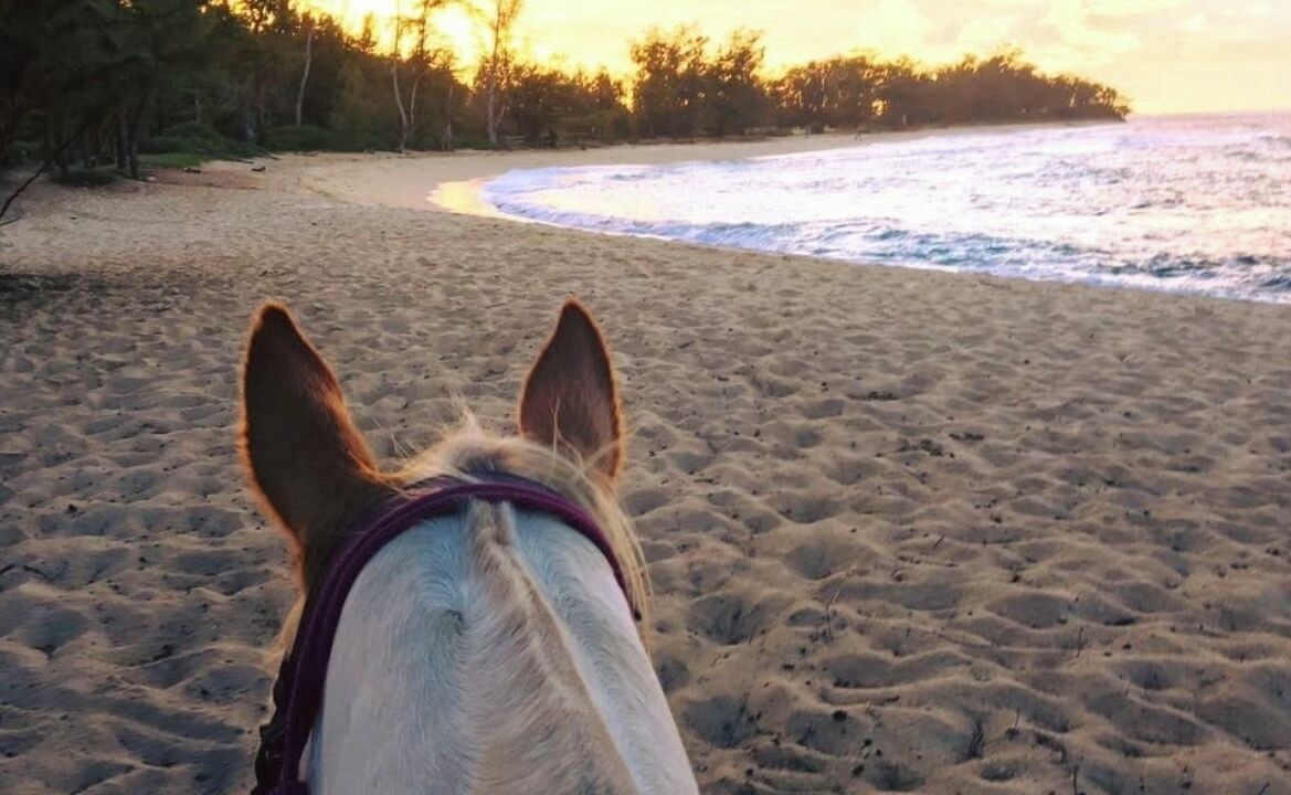Photo of Others in Waialua