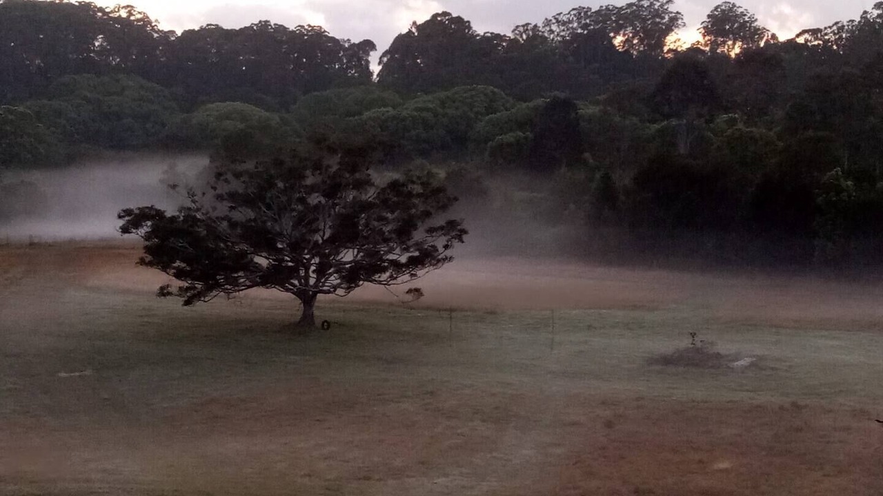 Photo of Outdoor in Mullumbimby
