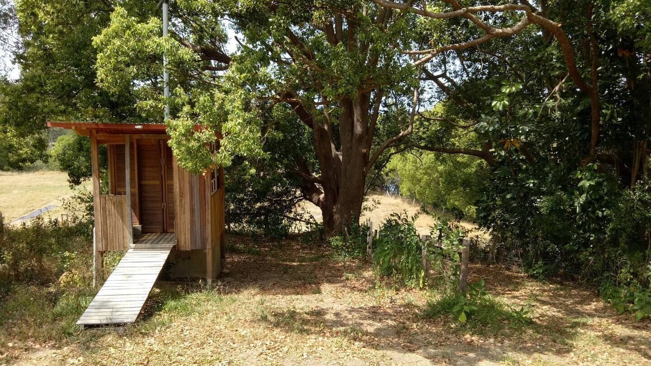 Photo of Outdoor in Mullumbimby