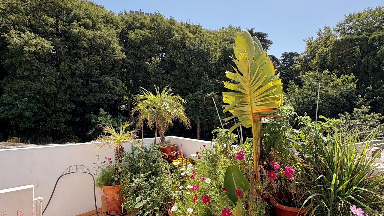 Photo of Outdoor in Setubal