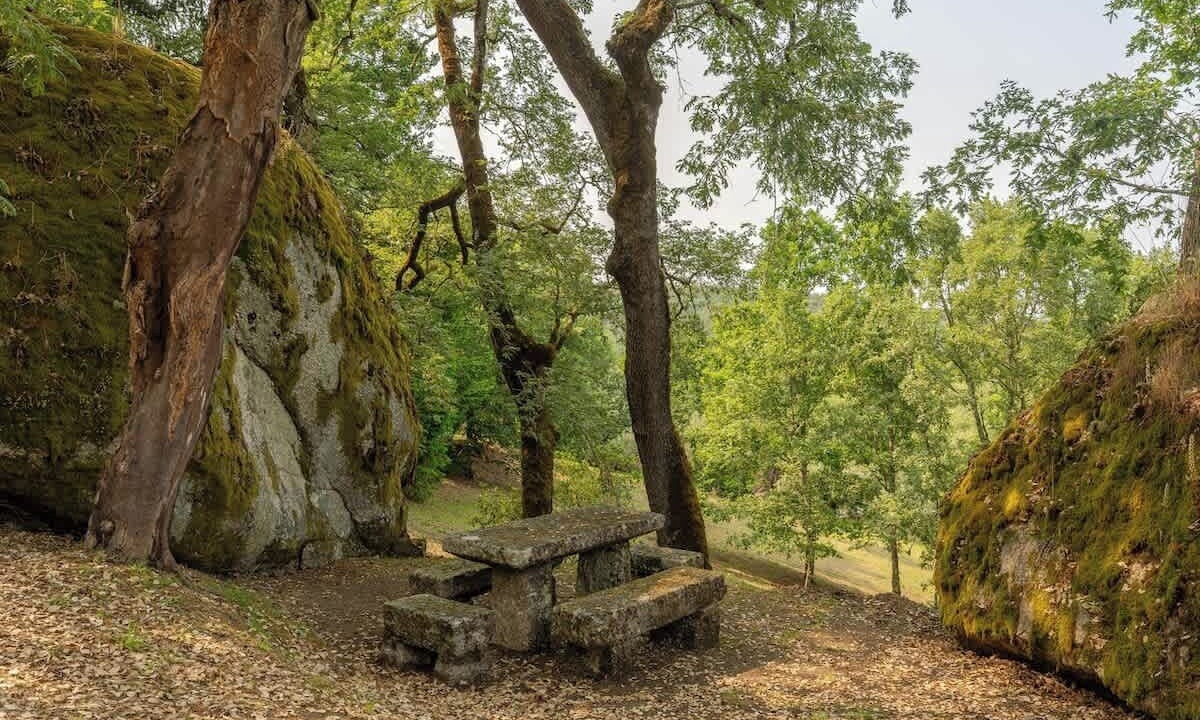 Photo of Outdoor in Santa Comba Dao