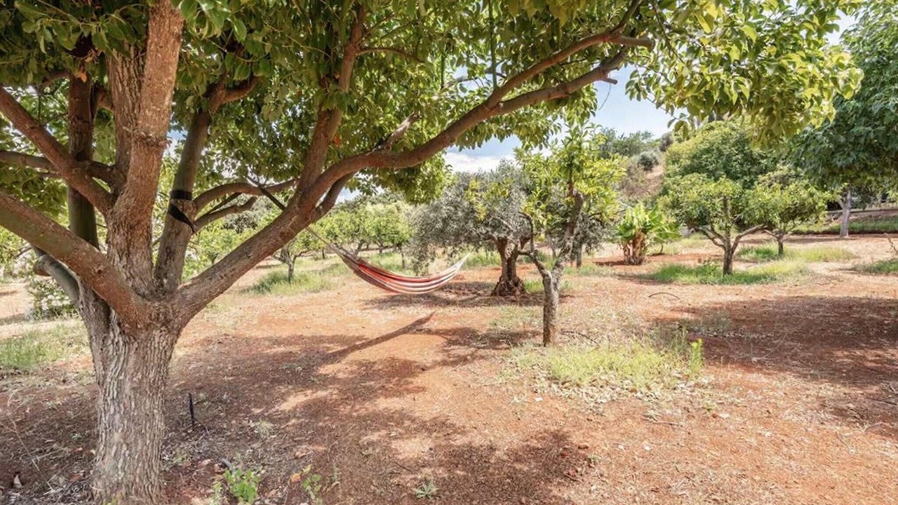 Photo of Outdoor in Silves