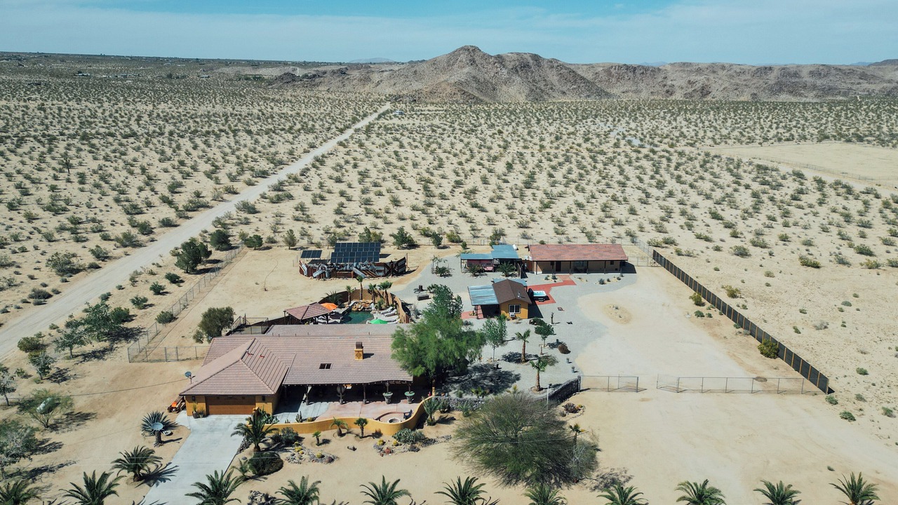 Photo of Others in Joshua Tree