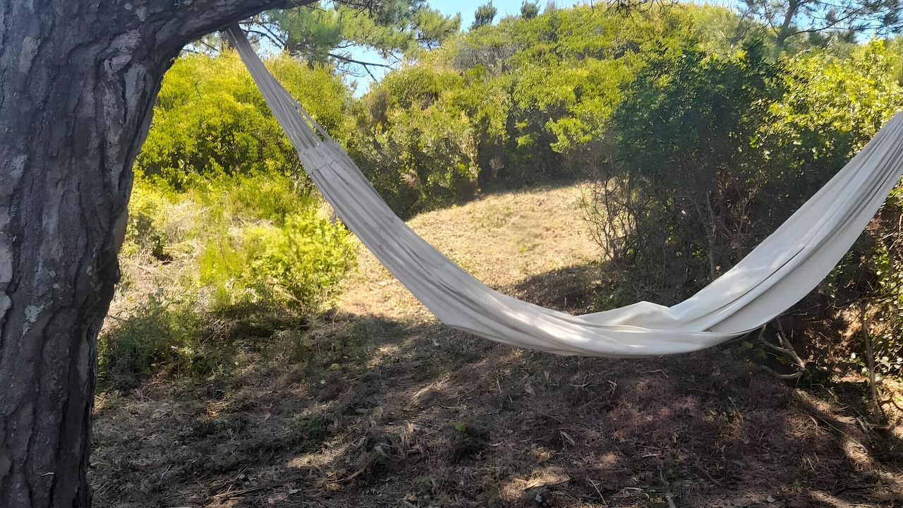 Photo of Outdoor in Maceira