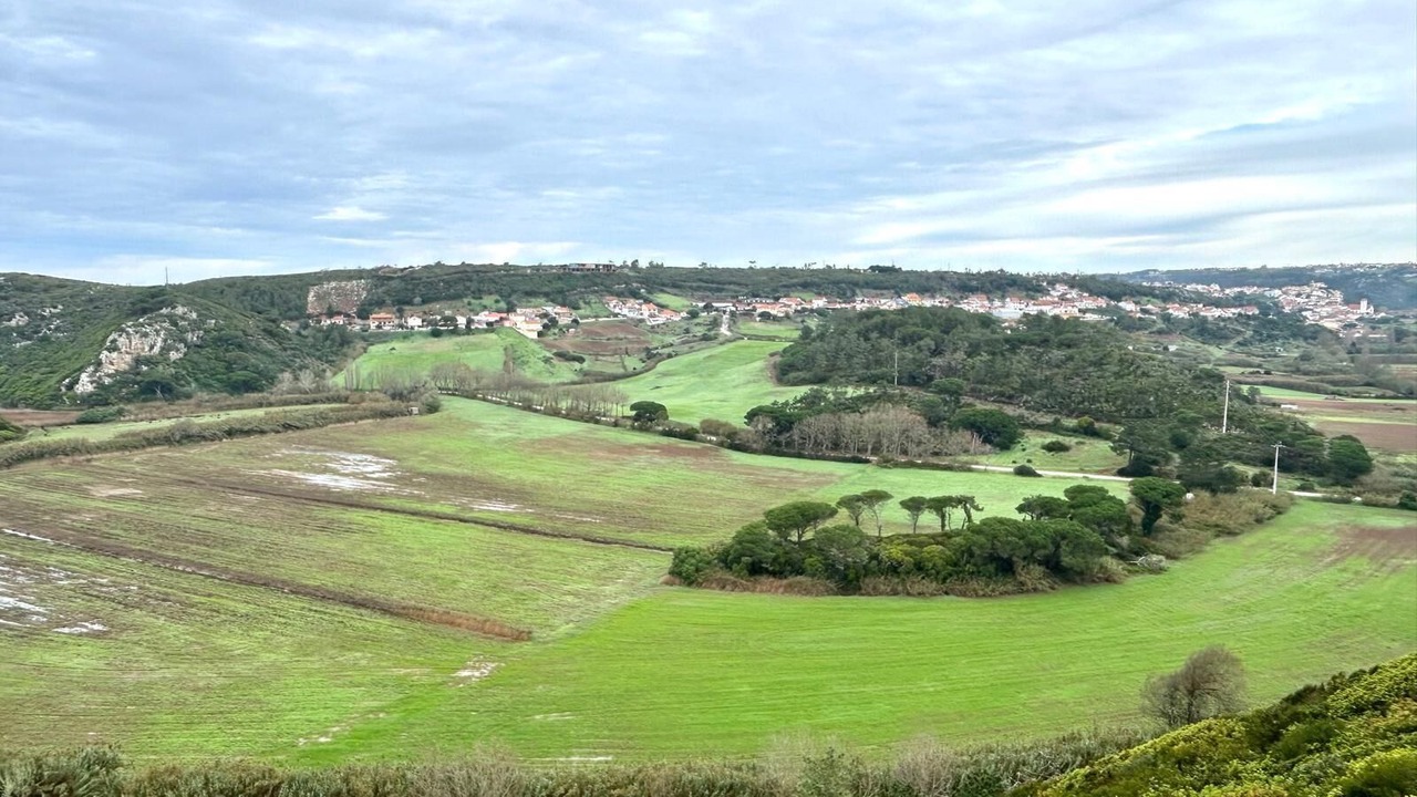 Photo of Others in Maceira