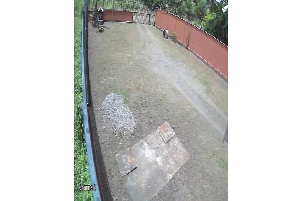 Photo of Outdoor in Cahuita