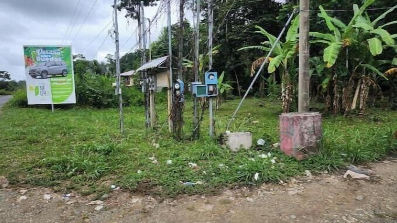 Photo of Outdoor in Cahuita