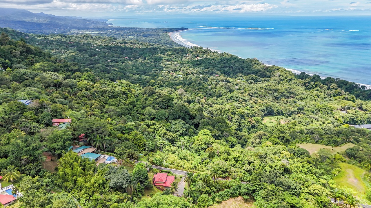 Photo of Outdoor in Ballena