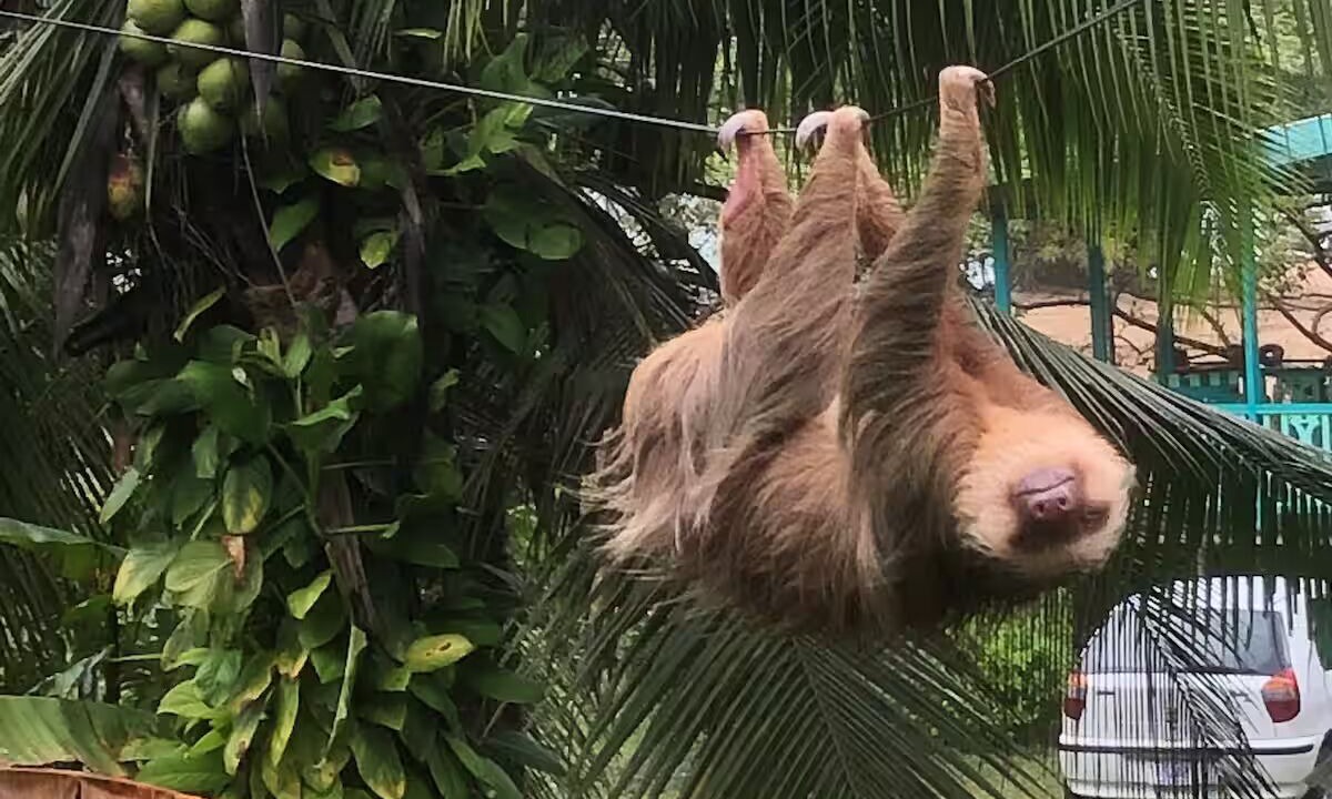 Photo of Others in Punta Uva