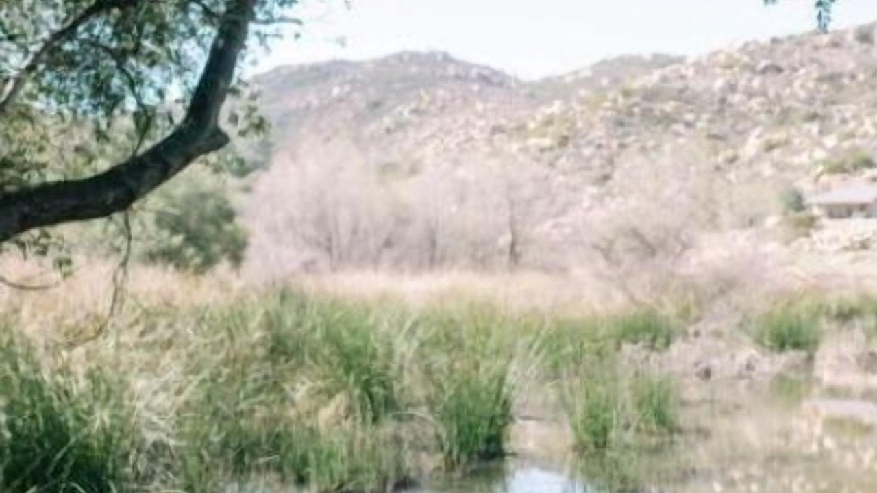 Photo of Others in Jamul