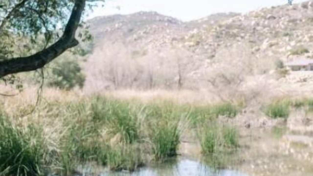 Photo of Others in Jamul