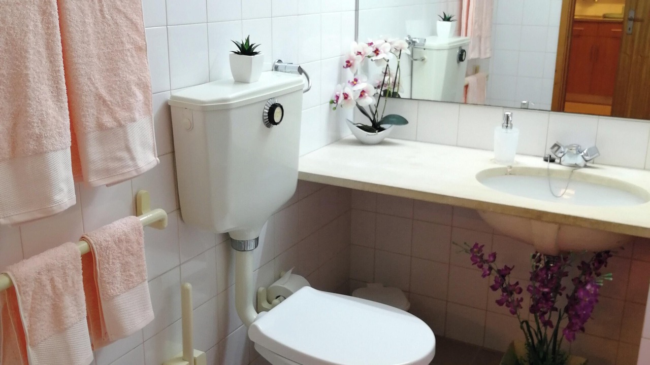 Photo of Bathroom in Sao Pedro do Sul
