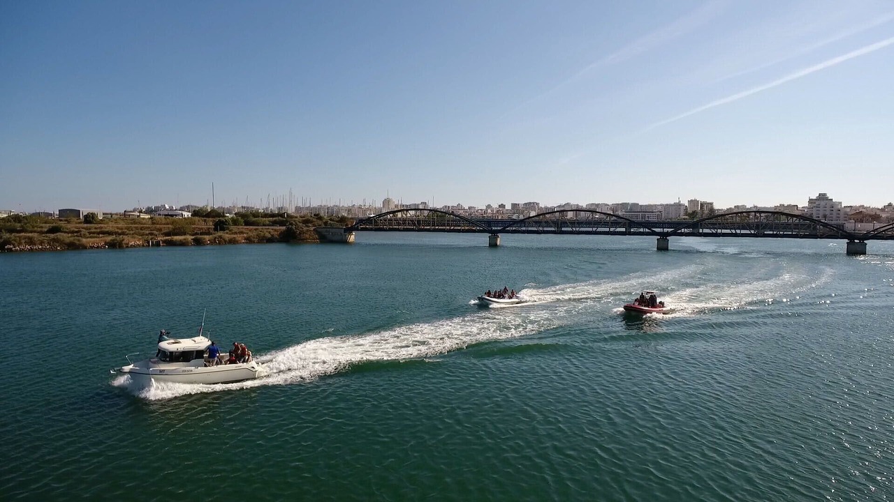 Photo of Others in Alfarrobeira