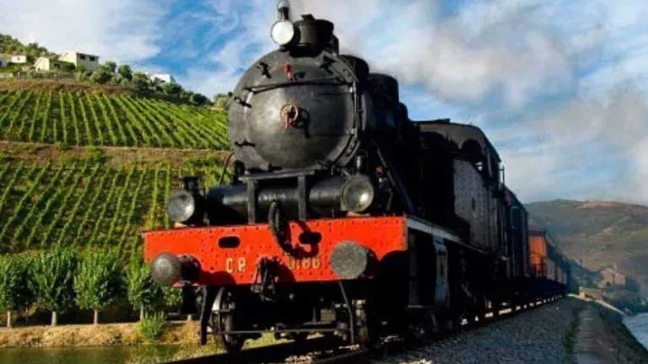 Photo of Others in Vila Nova de Foz Coa