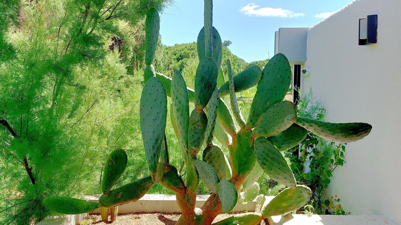 Photo of Outdoor in Vilamoura