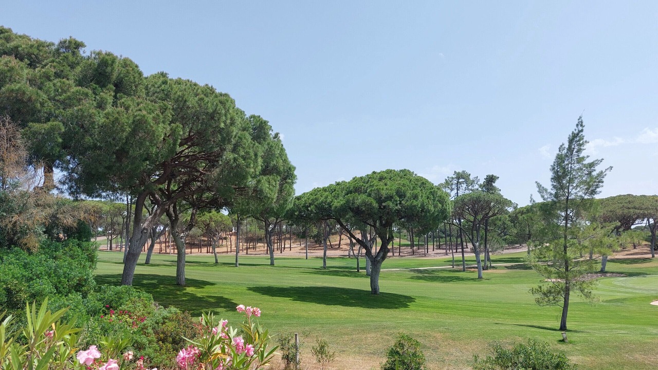 Photo of Others in Vilamoura