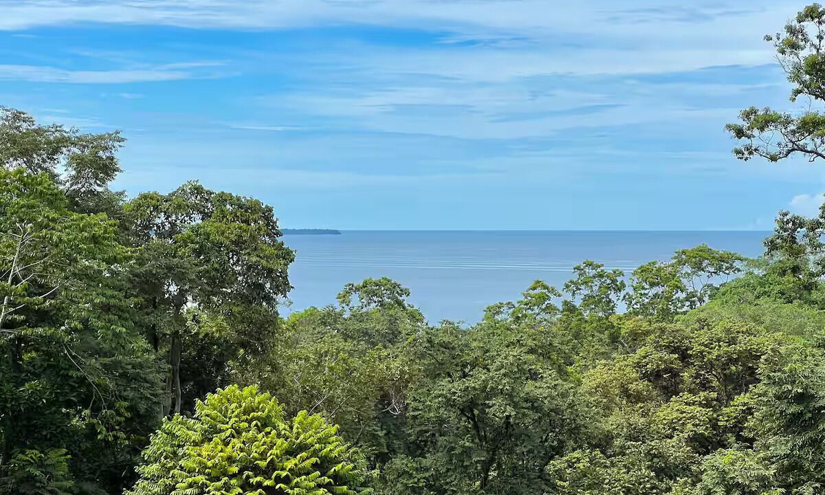 Photo of Others in Puerto Viejo de Talamanca