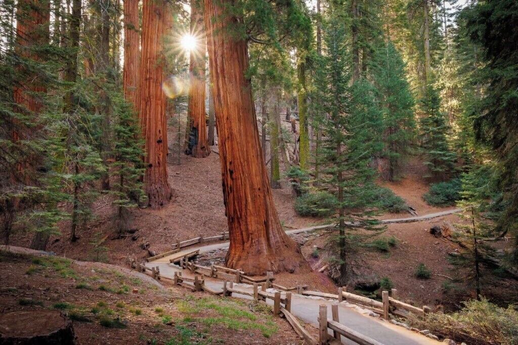 Photo of Others in Tulare