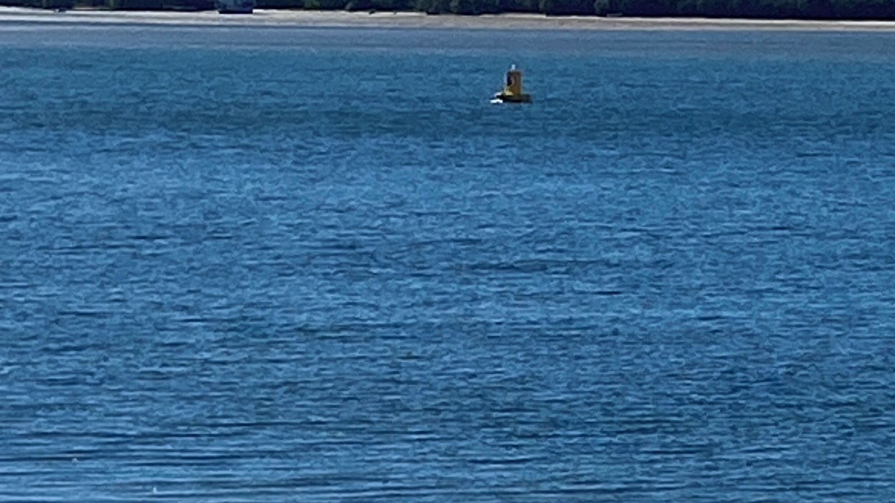 Photo of Others in Labrador