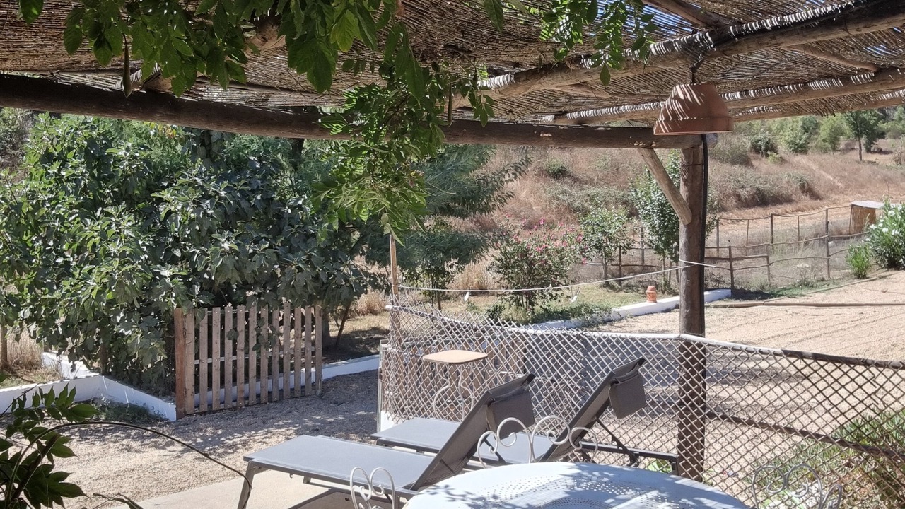 Photo of Outdoor in Sao Luis