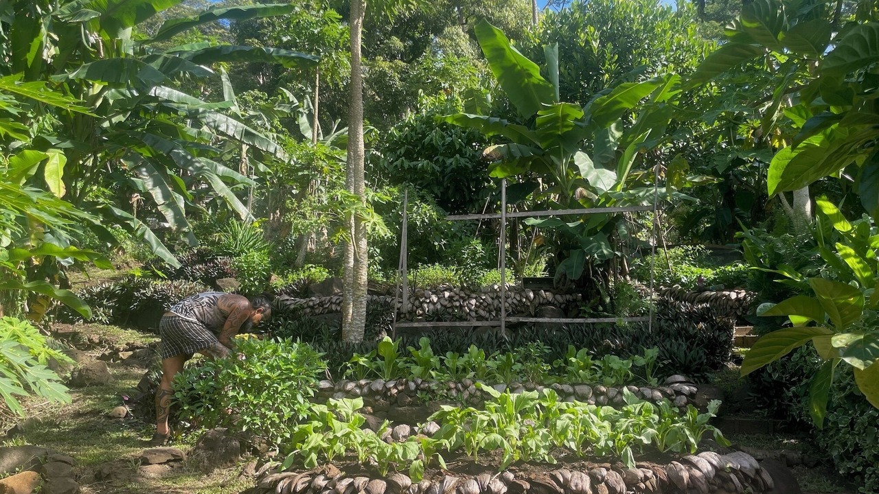 Photo of Outdoor in Ha'apiti