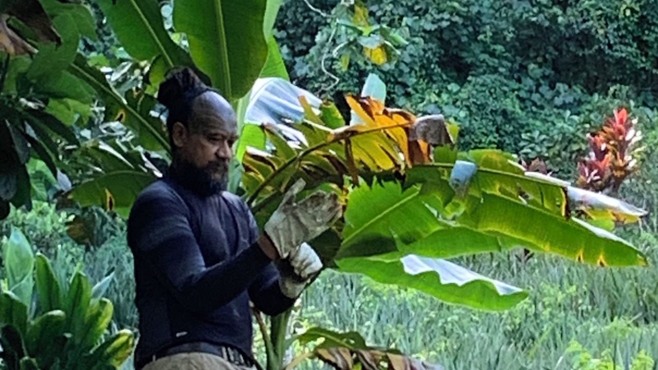 Photo of Outdoor in Ha'apiti