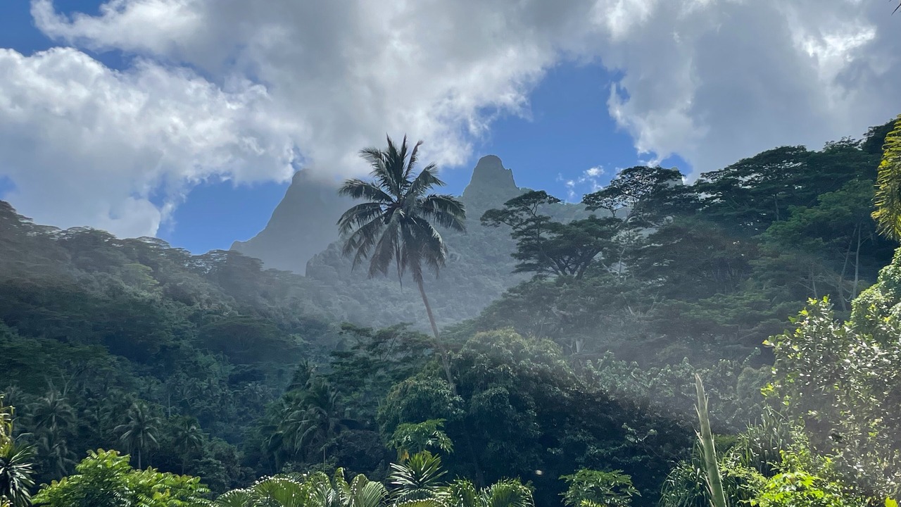 Photo of Others in Ha'apiti