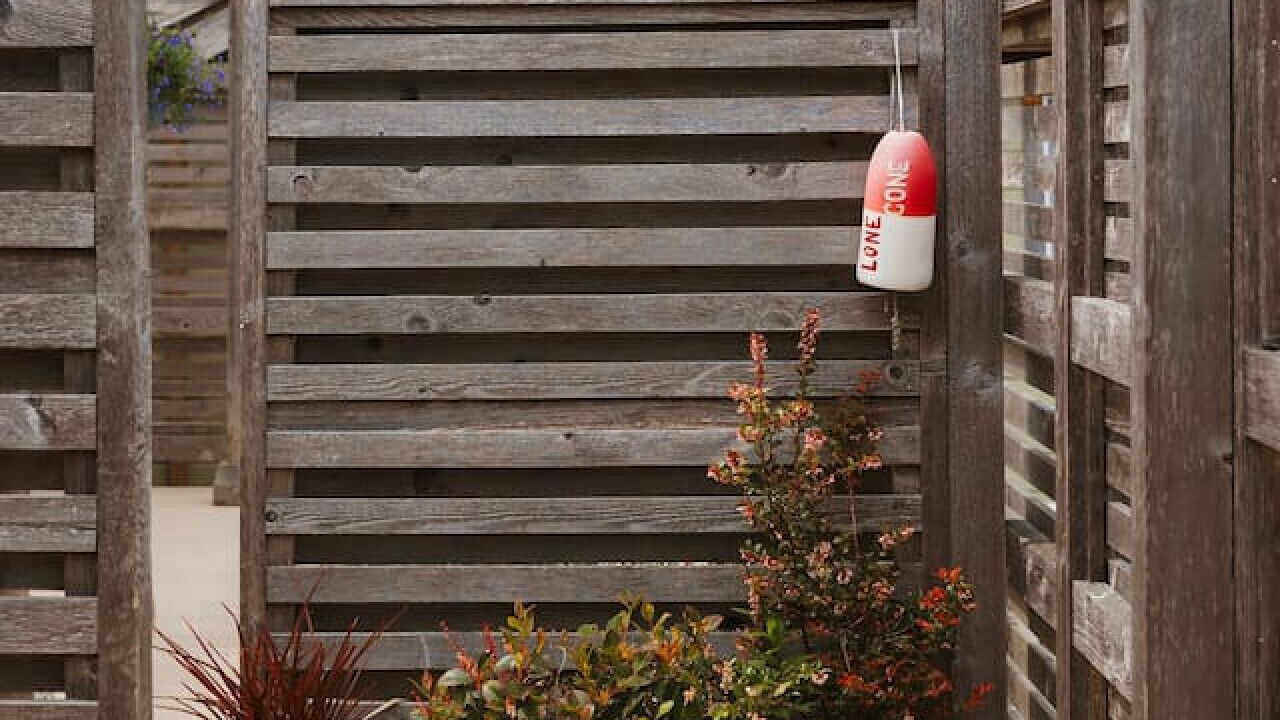 Photo of Outdoor in Tofino