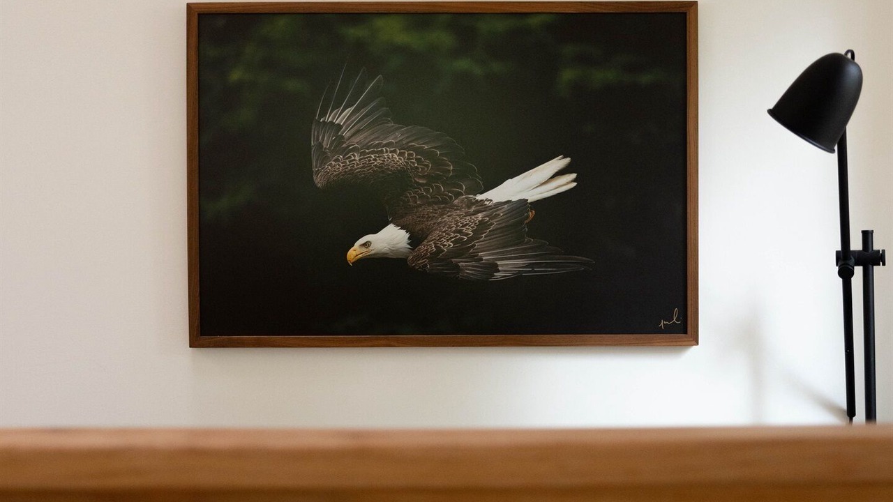 Photo of Others in Tofino
