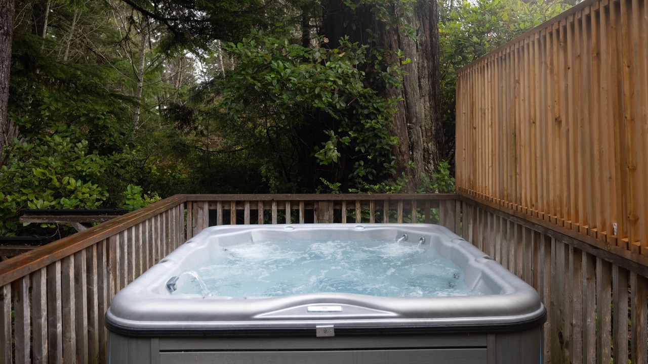 Photo of Others in Tofino