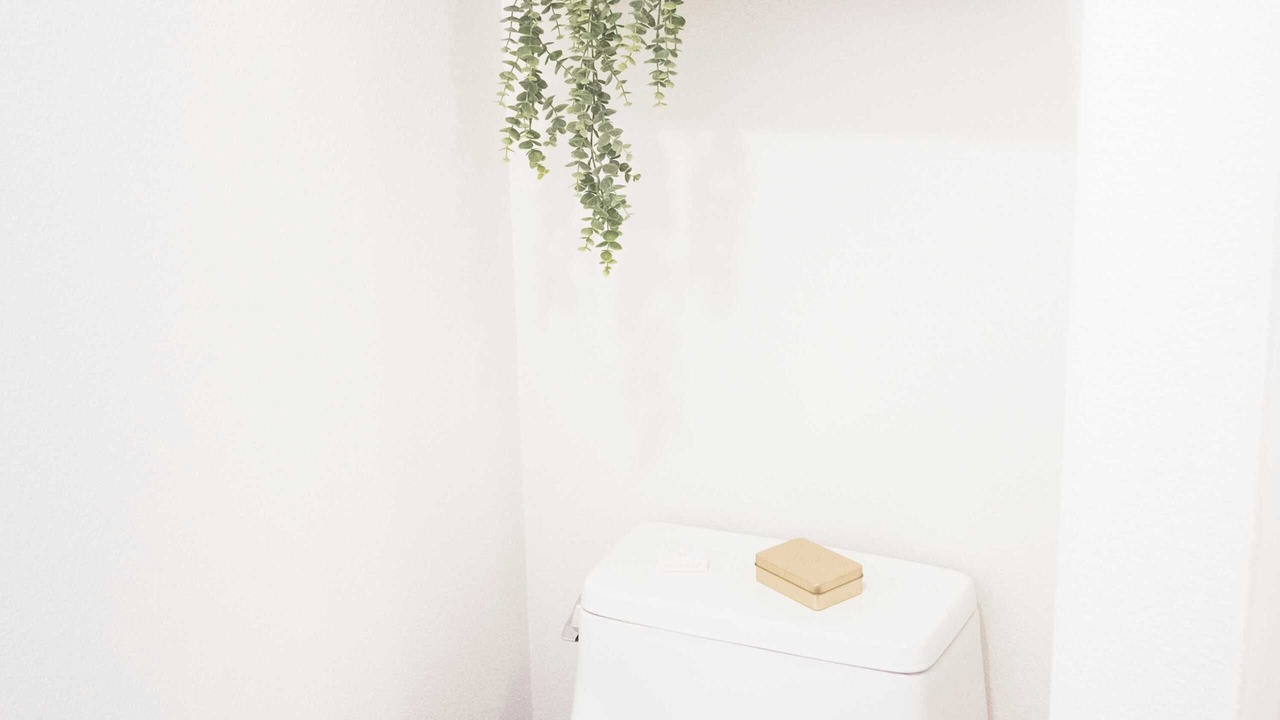 Photo of Bathroom in Idyllwild