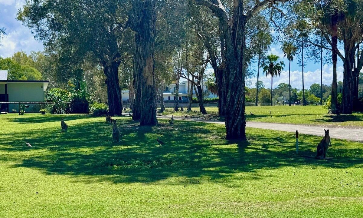 Photo of Outdoor in Gold Coast