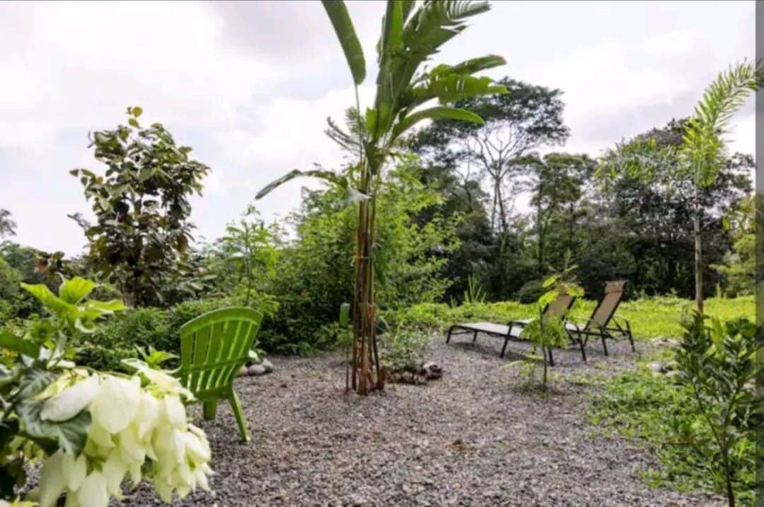 Photo of Outdoor in Ballena