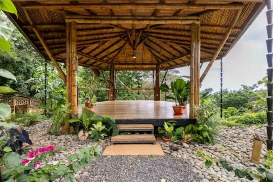 Photo of Outdoor in Ballena