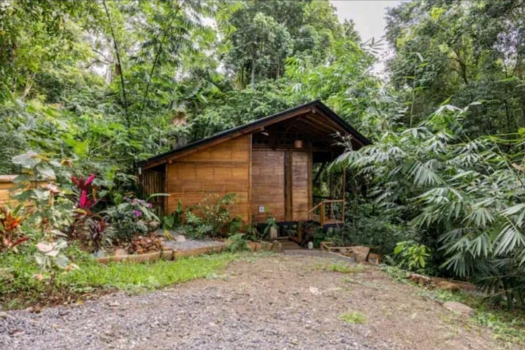 Photo of Outdoor in Ballena