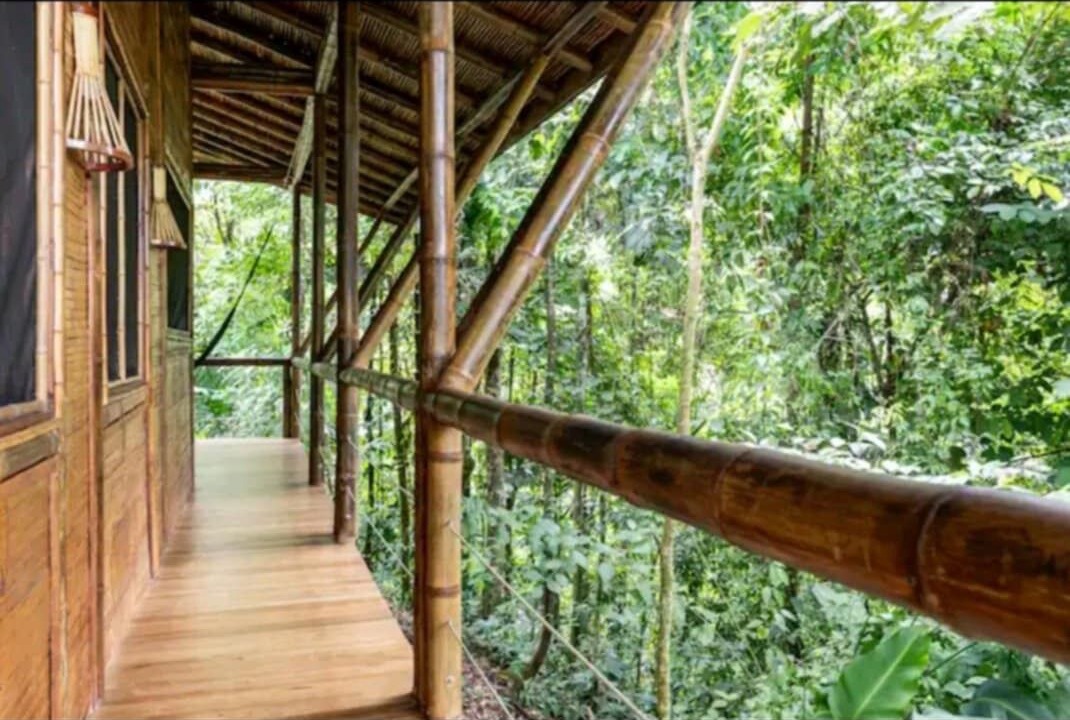 Photo of Outdoor in Ballena