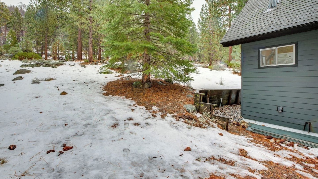 Photo of Outdoor in Christmas Valley