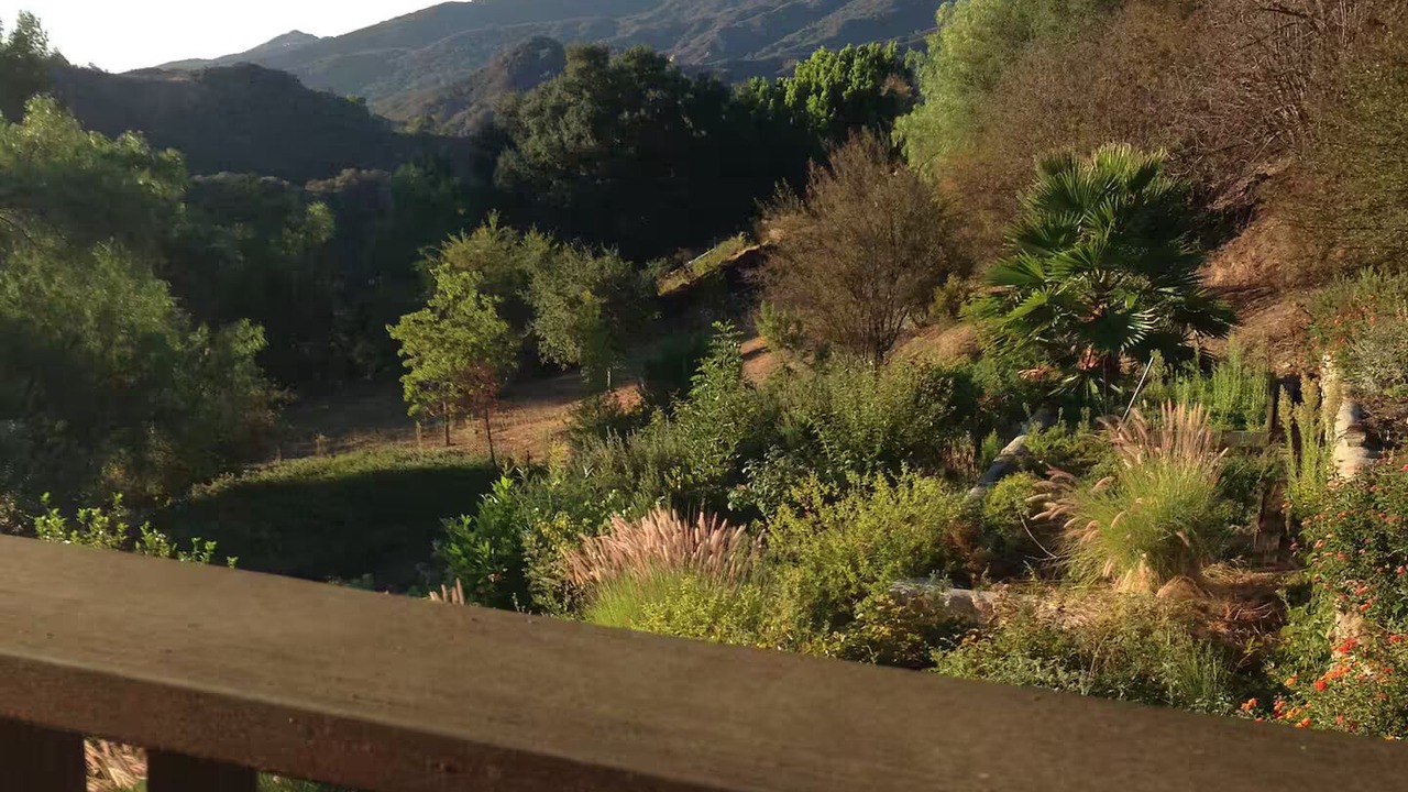 Photo of Outdoor in Topanga