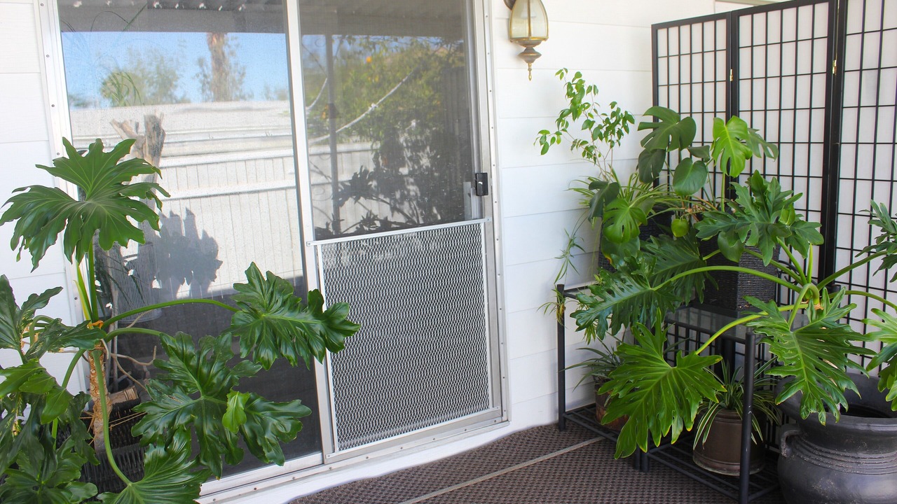 Photo of Outdoor in Palm Desert