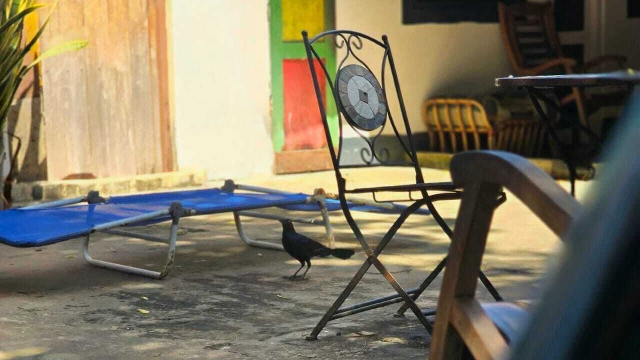 Photo of Patio Balcony in San Juan del Sur