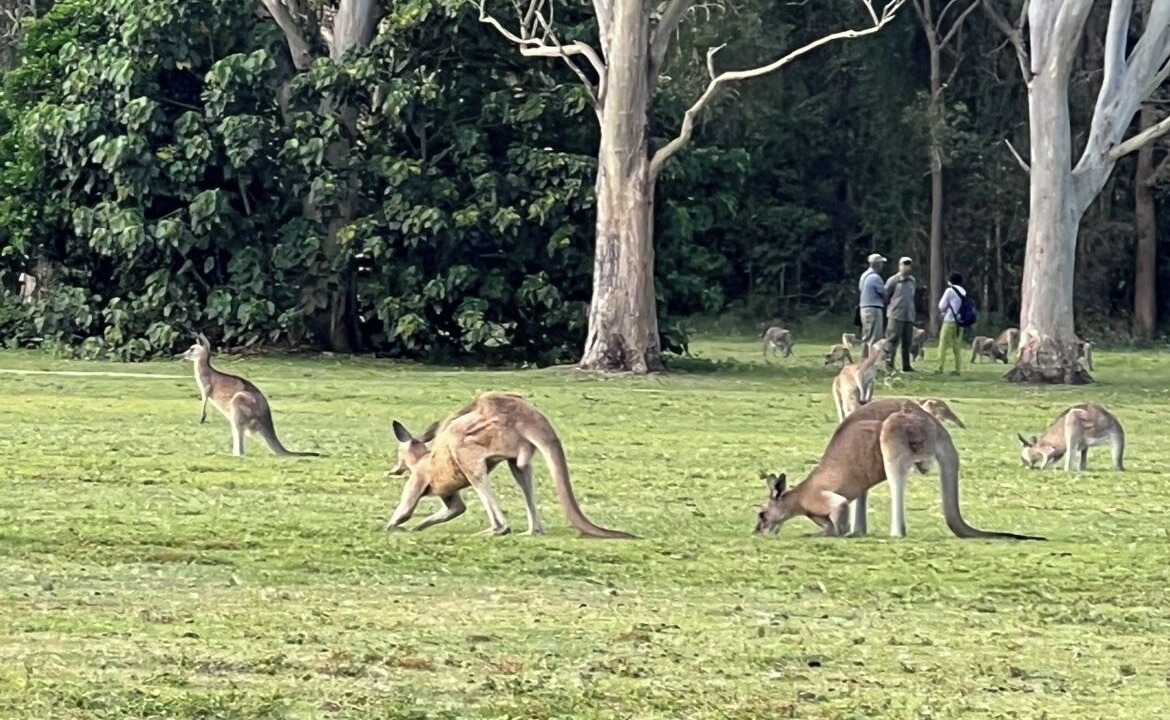 Photo of Others in Runaway Bay