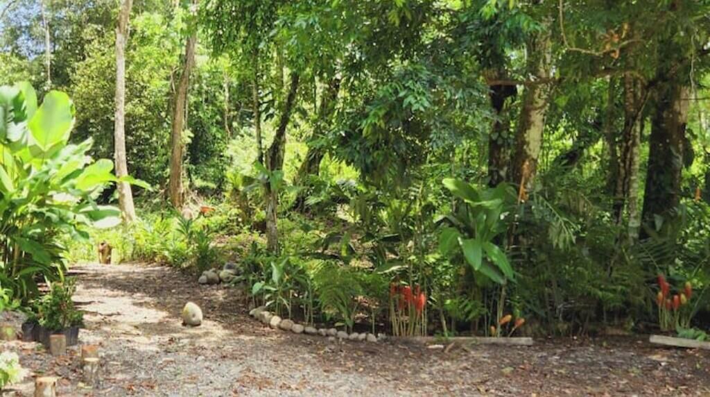 Photo of Outdoor in Chiguata