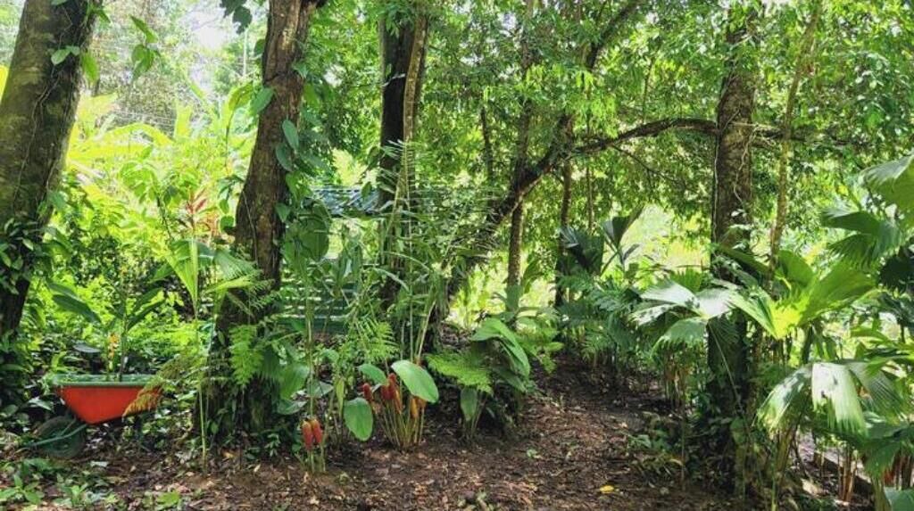 Photo of Outdoor in Chiguata