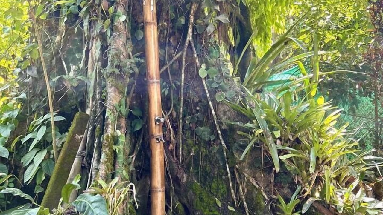 Photo of Others in Santa Lucia