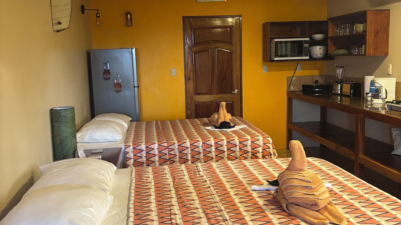 Photo of Bedroom in Palma
