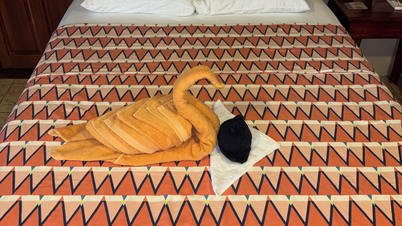 Photo of Bedroom in Palma