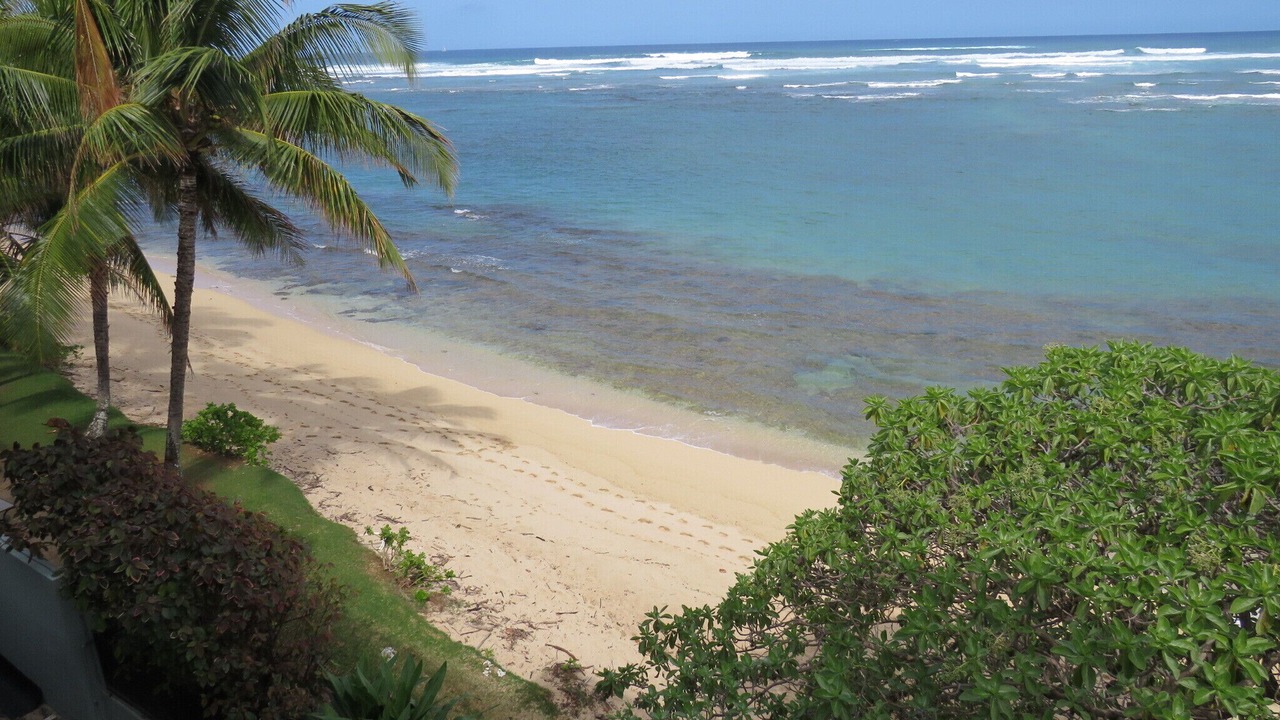 Photo of Others in Mokuleia
