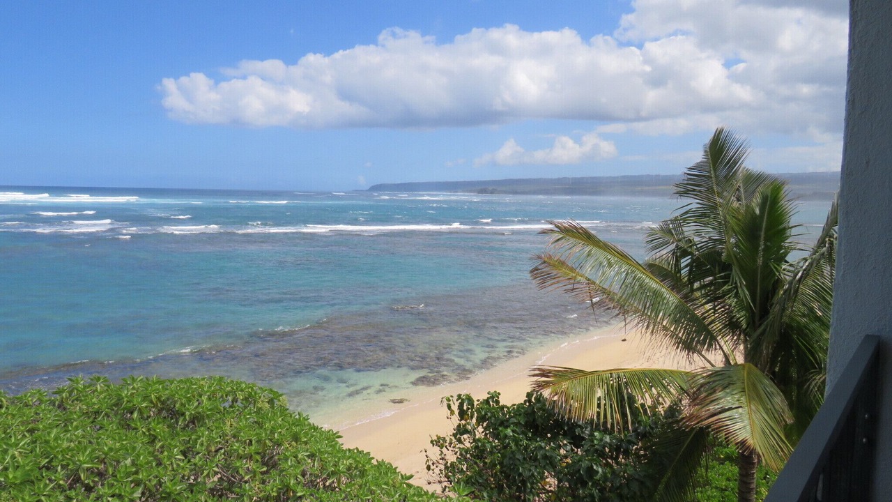 Photo of Others in Mokuleia