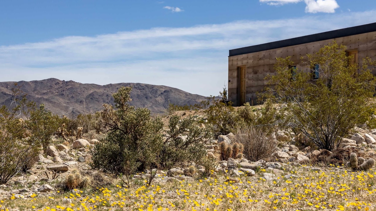 Photo of Others in Twentynine Palms
