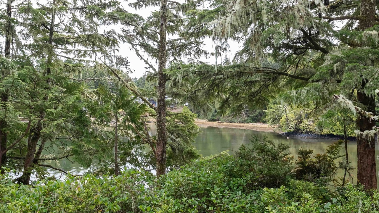 Photo of Others in Ucluelet